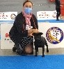  - BEST PUPPY OF BREED expo LE MANS