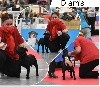  - excellent week end a Paris dog show avec Diams