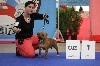  - Paris dog show 2018