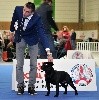  - Paris dog show 2019