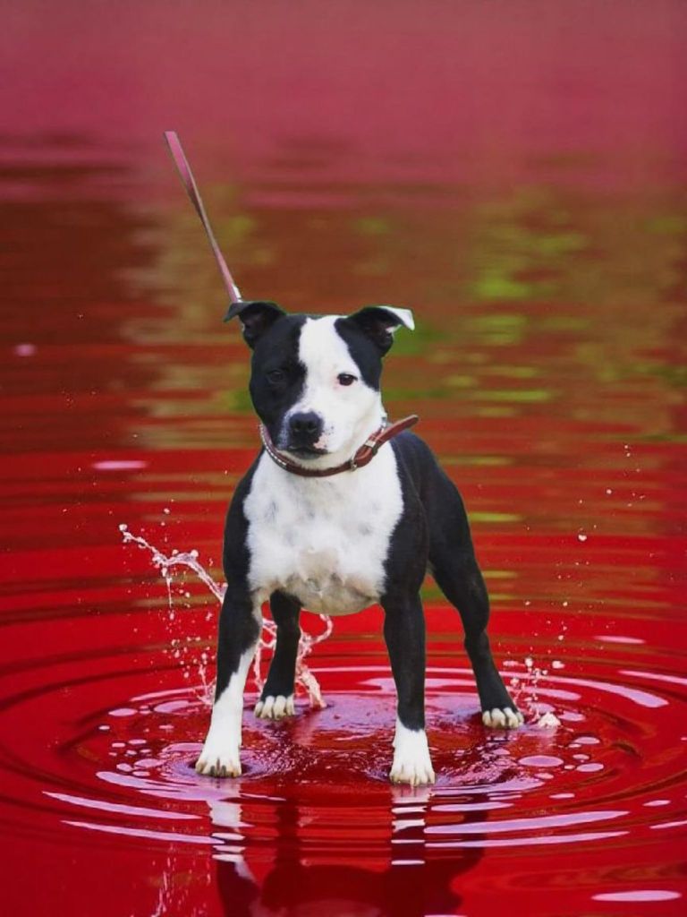 Sous confession nocturne Furious Stafford Arena