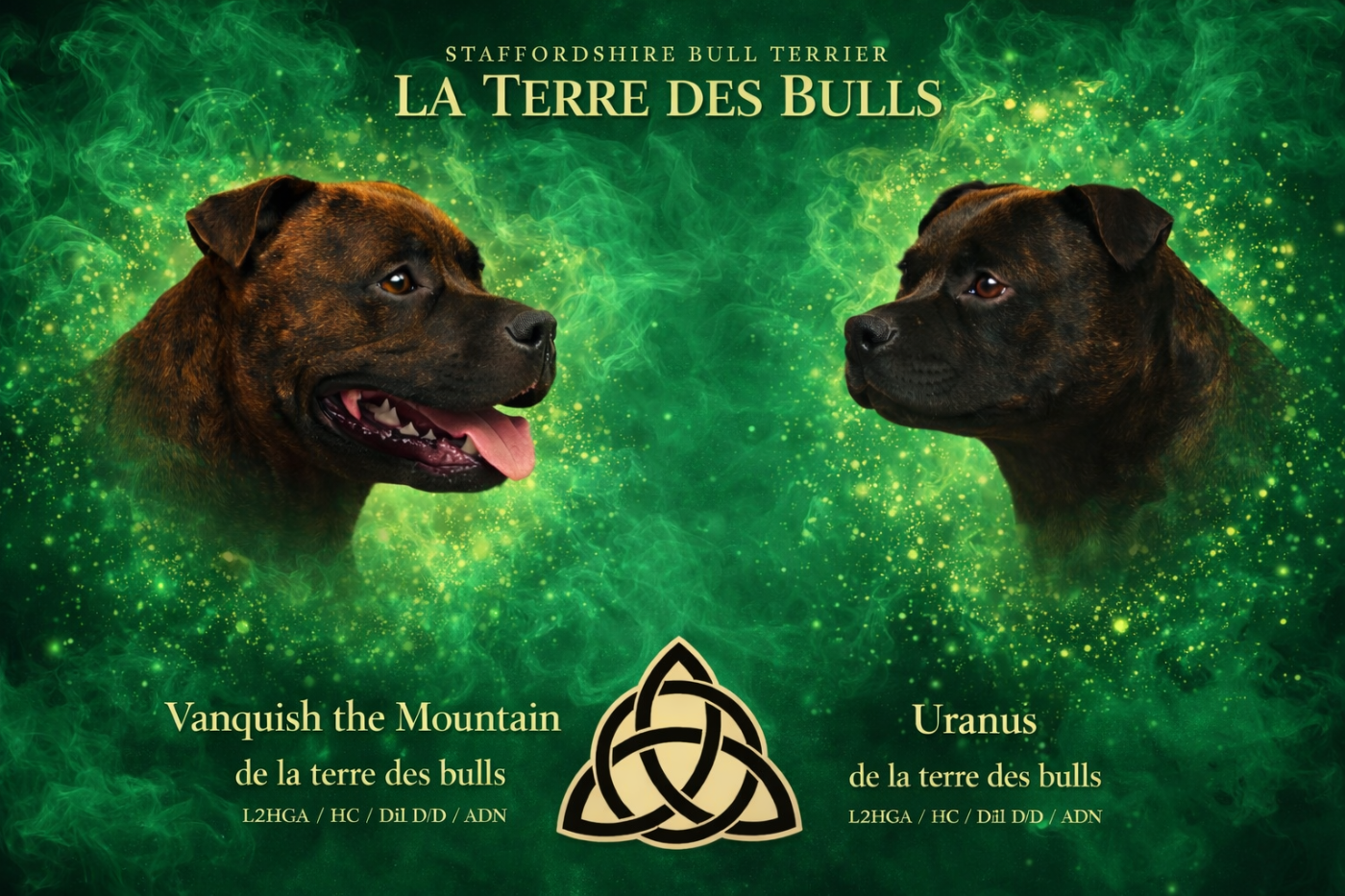 uranus est est gestante